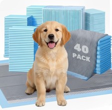 Blue Pet Pads, 23.5"x23.5", 40-Count Absorbent Waterproof for Dog Training