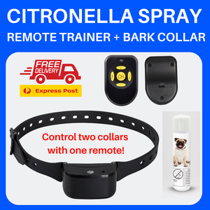 citronella collar ebay