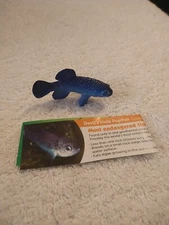 YOWIE Devil's Hole Pupfish Animal Figurine All Americas Series Blue Fish 2.25"