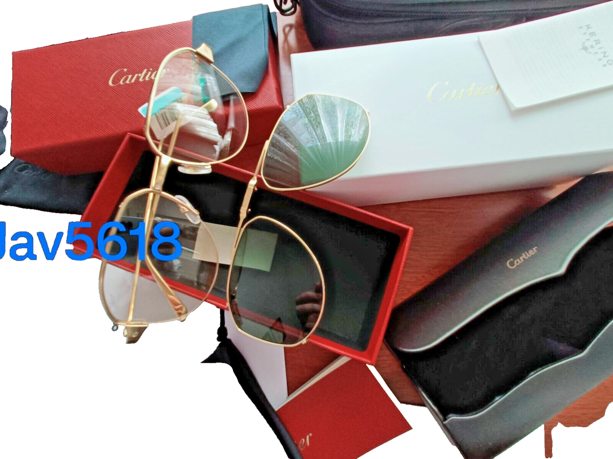 【希少】Cartier Sunglasses Must Santos GOLD Sunglasses Cartier MUST Santos - S Elton John Sunglasses 1980s