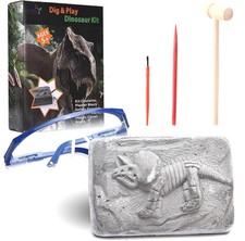 Neliblu Dinosaur Fossil Digging Kit for Kids ...