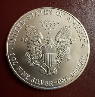 American Silver Eagle 1991 Silbermünze Feinsilber