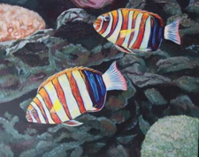 Harley Quin, Tropical Fish, Original Acrylic Painting, Framed, Art, 20x16 inch