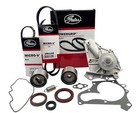 <!--F#f_0-->Timing Belt Kit+WP+DB for Holden Apollo JK JL 3S-FC 3SFC 3S-FE 3SFE<!--F/-->