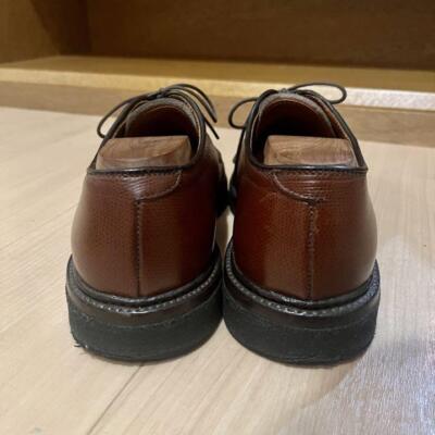Alden 947 All Weather Walker 7D #0130 | eBay