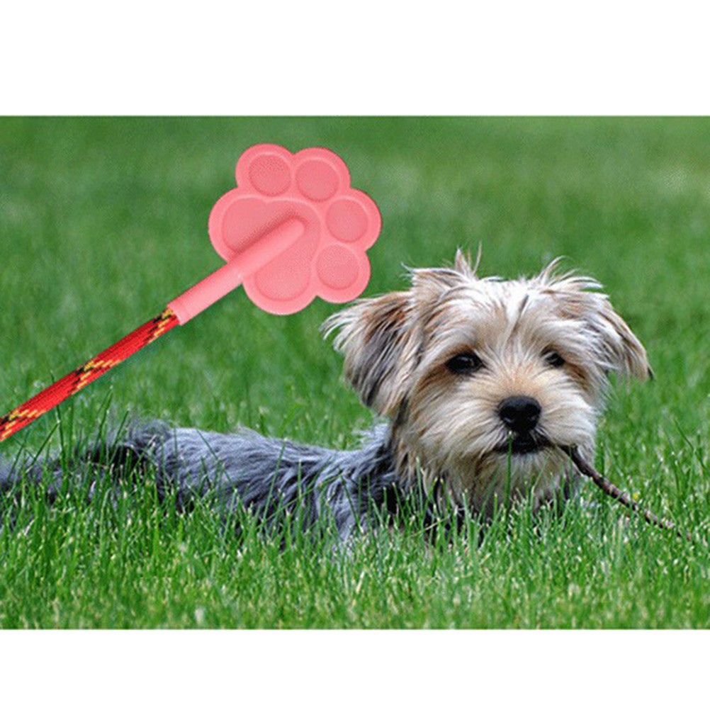 Set di 2 Giocattoli per Addestramento Cani foto 2