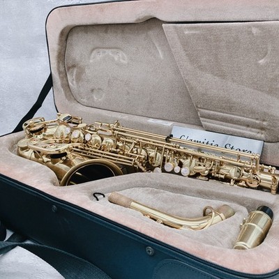 Yanagisawa A-900 μ Alto Prima Eb Saxophone Sax A900μ Yellow Brass Post on Body