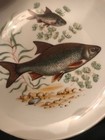 Vintage Israel Naaman Porcelain Fish Serving for 12 + Serving Platter MINT! — photo 9