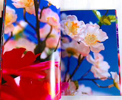 MIKA NINAGAWA Everlasting Flowers JAPAN PHOTO BOOK 2012 w MIKA NINAGAWA Everlasting Flowers JAPAN PHOTO BOOK 2012 w