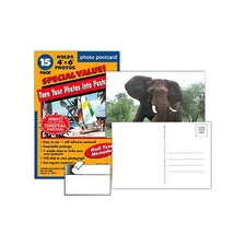 Peel and Stick Photo Postcards 4x6 15 pack (Same Shipping Any Qty)