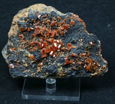 Cristalli di Vanadinite, Mibladen, montagne dell'Atlante, Marocco