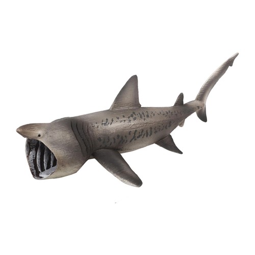 Basking sharks Model ,Educational Learning Toy, Marine - Picture 5 of 12