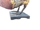 RINGNECK ROOSTER PHEASANT S TAXIDERMI STANDING MOUNT — photo 5