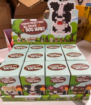 12 Stück Construction Blocks Dog Series von Out Of The Blue im Display OVP