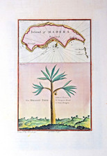 MADEIRA - THE ISLAND OF MADERA / THE DRAGON TREE. THOMAS SALMON 1759.