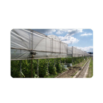 Telo Serra 2x3m | Polietilene Spesso 80 Micron | Trasparente E Resistente Ai Raggi UV - Foto 8