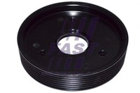 FT45595 Fast Riemenscheibe, Kurbelwelle FüR Renault