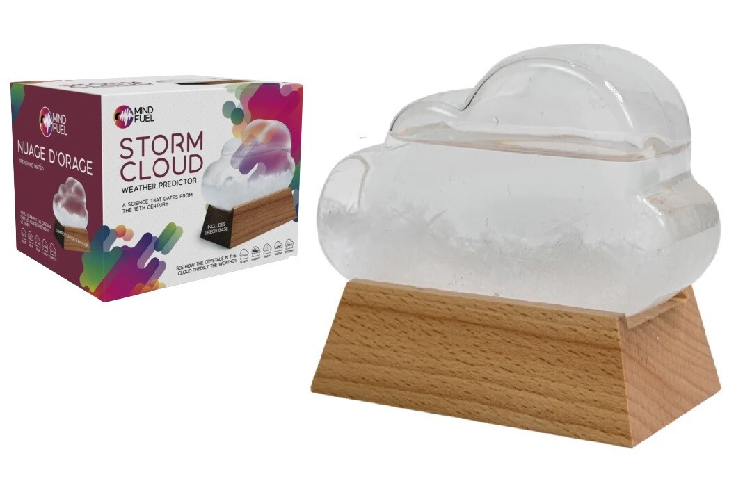 Weather Predictor Storm Cloud Decorative Glass Forecast Toy Unique Gift Idea