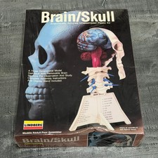 Vtg 1987 Lindberg Science Kits Brain / Skull Model Kit NEW/SEALED Box
