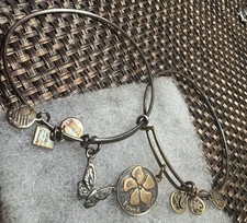 ALEX AND ANI Lot Of 2 Charm Bracelets with Fr...