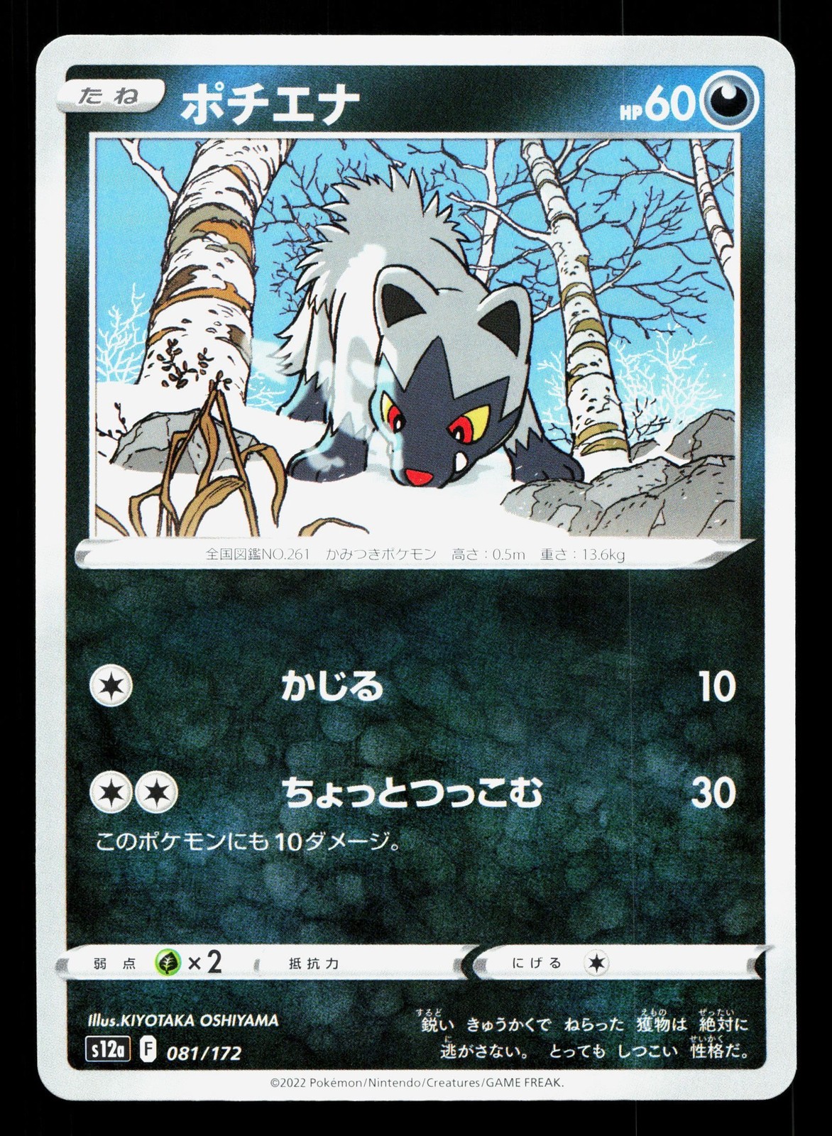 Poochyena 081/172 VSTAR Universe NM Japanese Pokemon Card TCG
