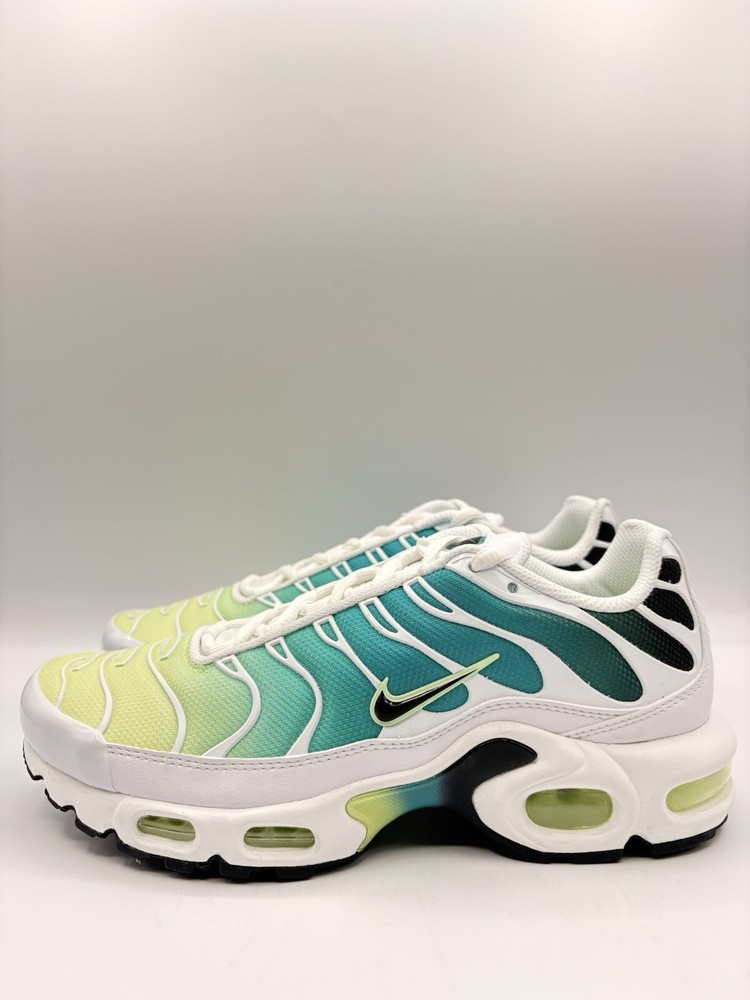 Nike Womens Air Max Plus Running Shoes in Dusty Cactus Size 7.5-10 DZ3670-102