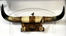 Vintage Mounted Steer Horns Bull Cow Wall Mount Western Home Decor Rack Cabin
