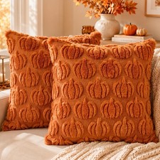 2 Pack Caramel Fall Pillow Covers 18 x 18 Inch