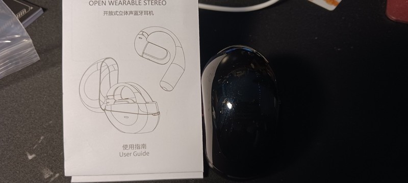 Generic Language Translator Earbuds