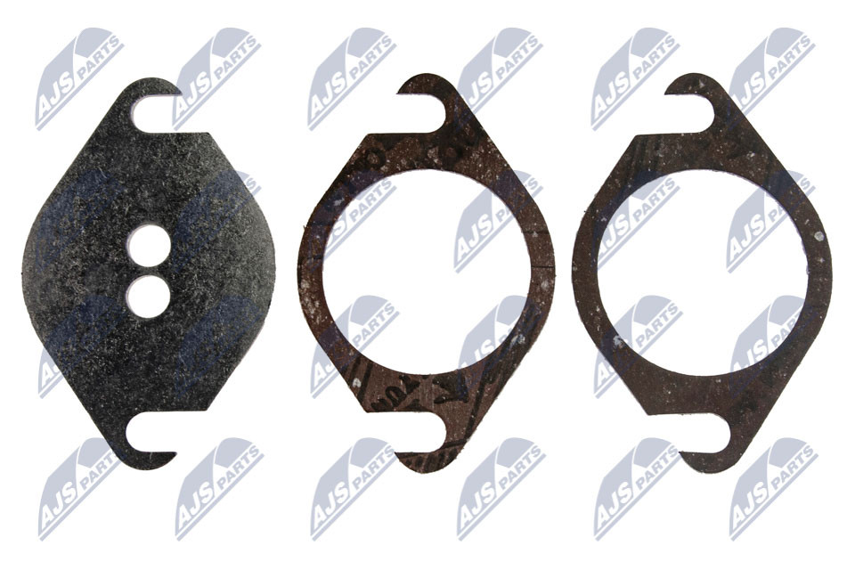 N.T.Y. EGR-PL-046.NTY Repair Kit, intake manifold module for OPEL