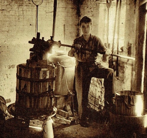 George Ordish Producing Wine Vine House Yalding 1952 2 Page Photo Article Q757