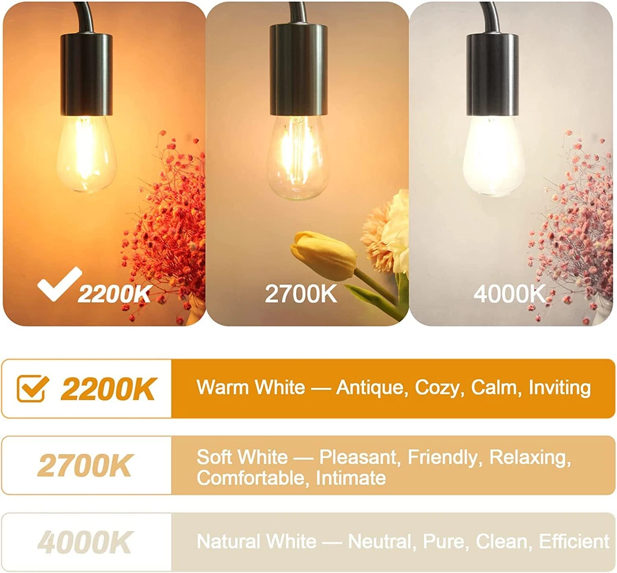 2200k warm white deals