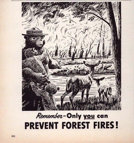 Smokey Bear Print Ad 1954 US Forest Service Prevent Forest Fires Deer Animals