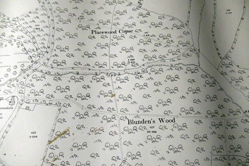 Ordnance Survey Map - Year: 1916 - SURREY 38-15 - Inc. Hambledon Hurst (06) - Picture 4 of 5