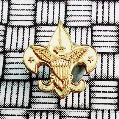 Vintage BSA Tenderfoot Boy Scouts of America Brosche Anstecknadel Abzeichen 12 mm x 11 mm
