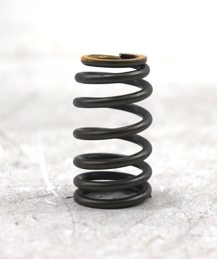 NEW OEM Engine Valve Spring Set of 24 222213CAA0 for Hyundai Kia