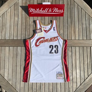 mitchell and ness lebron jersey
