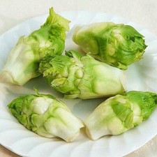 100 Asian Gemmifera Lee  & Lin Baby Mustard 儿菜(抱子芥) Seeds - FREE SHIPPING