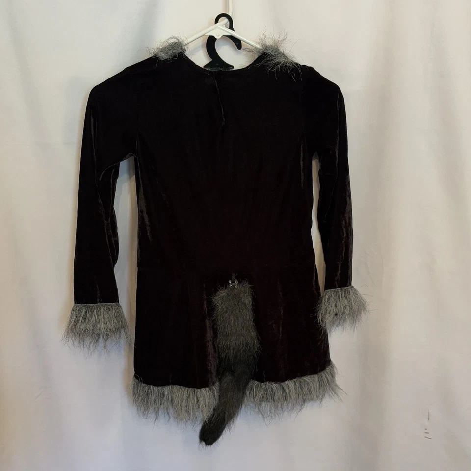 Sweet Raccoon Dress Halloween Costume Girls Size 4-6T Dress Up Play Theater - Image 3 of 4