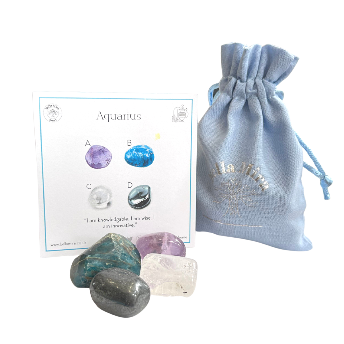 Aquarius Birthstone Zodiac Crystal Healing Pack February Amethyst
