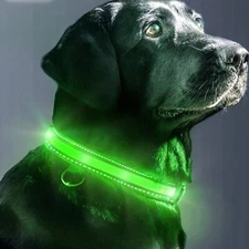 Lightweight LED Light Dog Pet Safety Collar USB Rechargeable Stripe Green Large