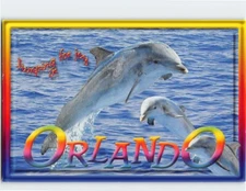Postcard Dolphins Jumping for Joy Orlando Florida USA