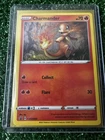 Charmander SWSH092 SWSH: Sword & Shield Promo Cards Holo