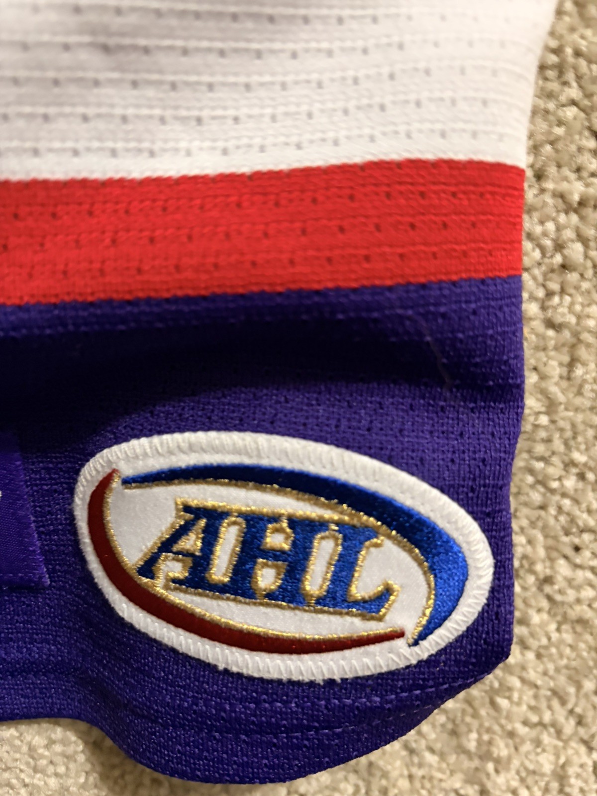 Autographed Marek Tvrdon Grand Rapids Griffins Player Worn Jersey