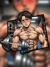 Anime Attack on Titan Levi Ackerman High Quality Vinyl Sticker