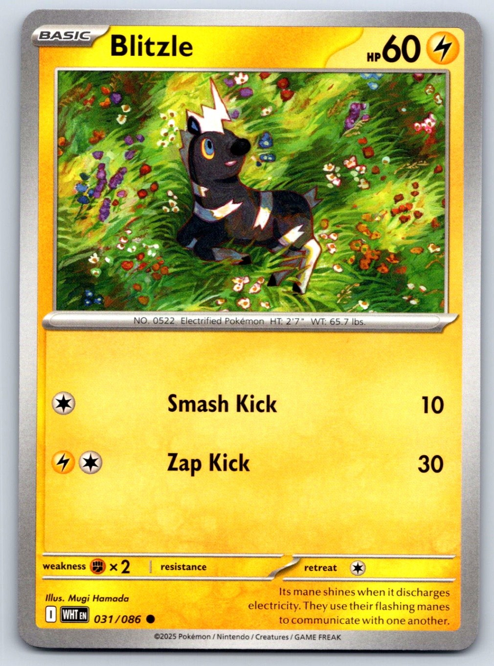 Blitzle - SV: White Flare 031/086 Pokemon Card NM