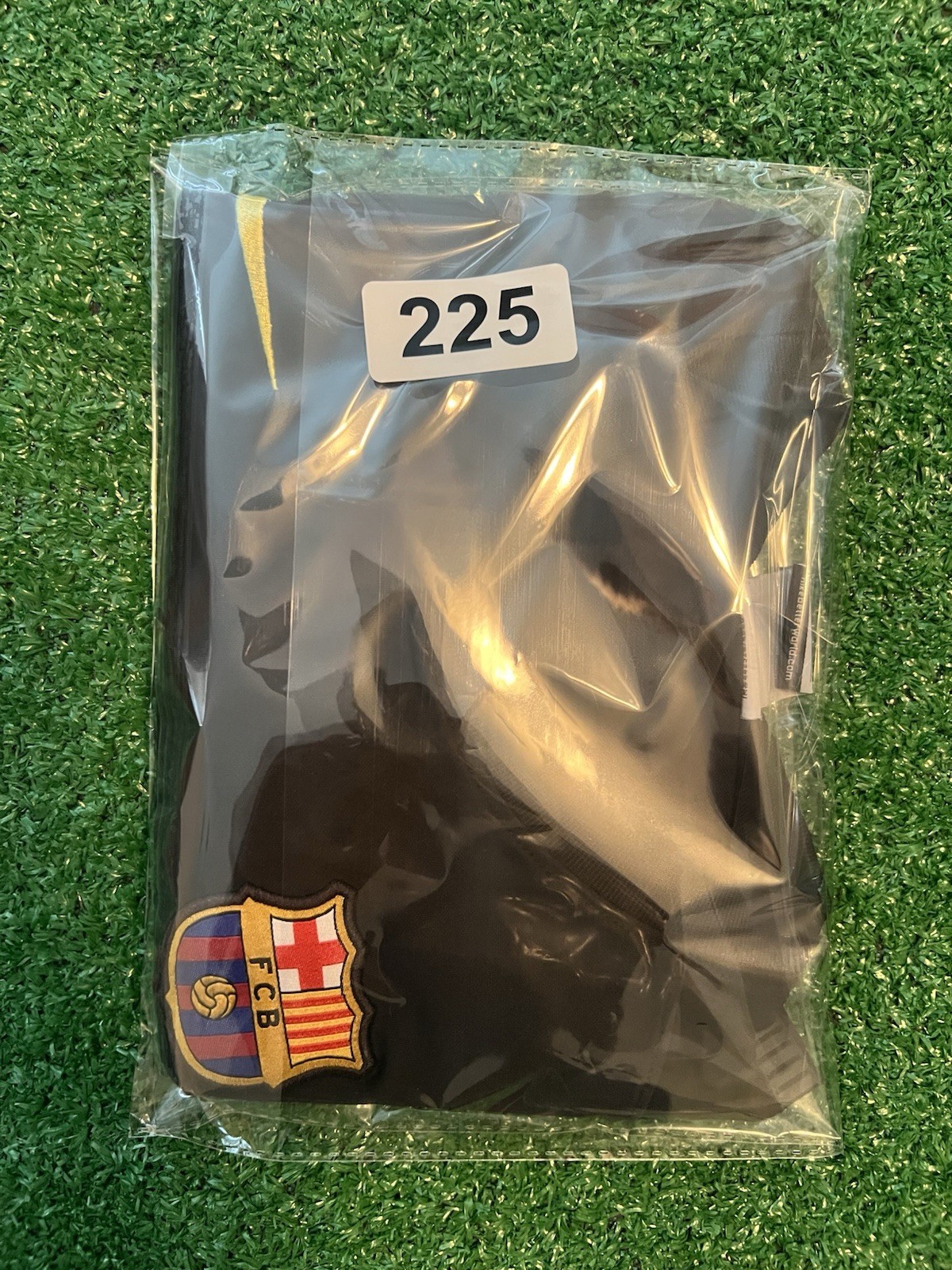 Foto 7 di 7