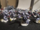 canis wolfborn With nicely painted assault intercessors — photo 4