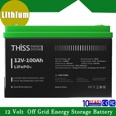 THISS 12V LiFePO4 Battery 100AH Lithium Deep Cycle for RV Marine Off-Grid System