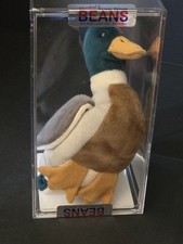 TY Beanie Baby Jake the Duck 4199 MWMT 5th/6th Gen w/ COA & Display Case